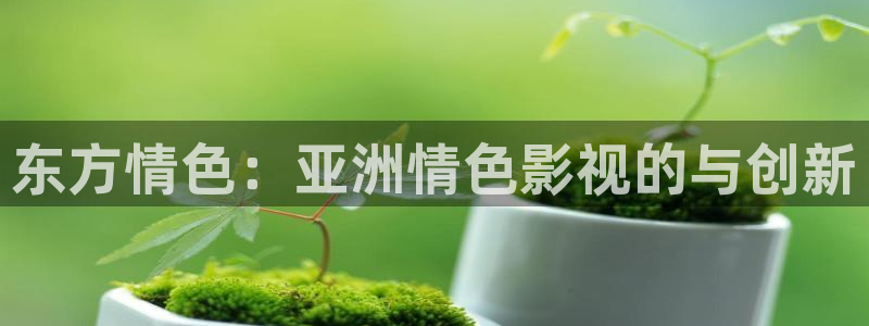 6080新视觉电影网播放：东方情色：亚洲情色影视的与创新